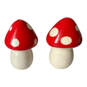 Duo sel poivre salière poivrier champignon barbotine